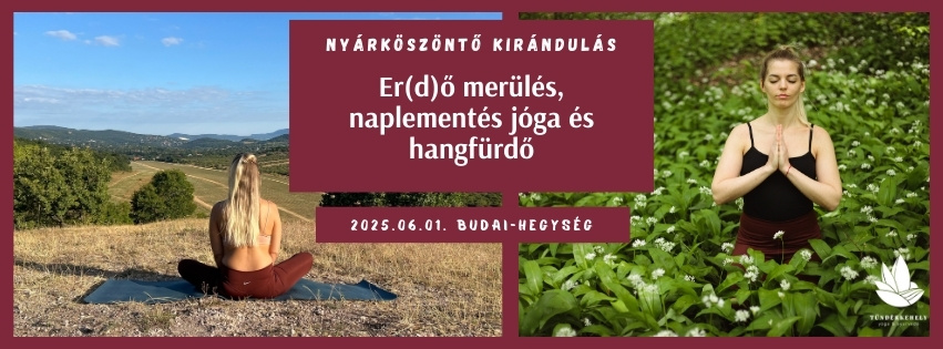 óga és önismereti kirándulás a Budai-hegység erdeiben, természetközeli élmény.